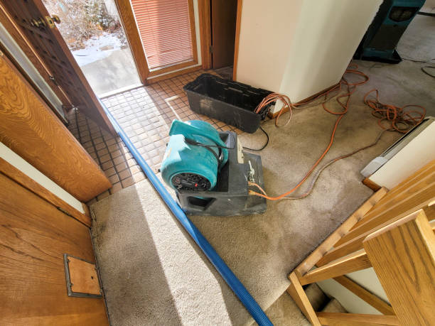 Best Fire Damage Restoration  in Zeigler, IL