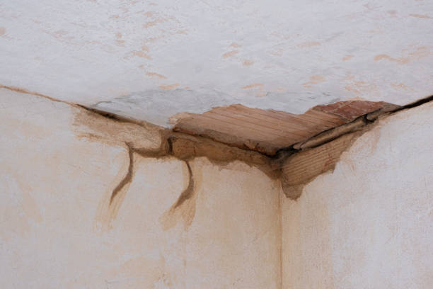 Best Emergency water damage restoration  in Zeigler, IL
