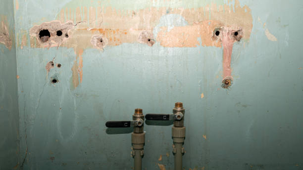 Best Water damage cleanup near me  in Zeigler, IL
