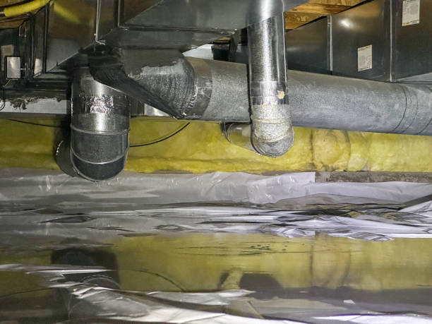 Best Professional water damage repair  in Zeigler, IL