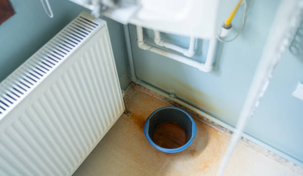 Best Water damage restoration near me  in Zeigler, IL