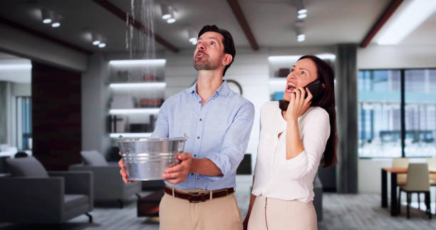 Best Water damage restoration company  in Zeigler, IL