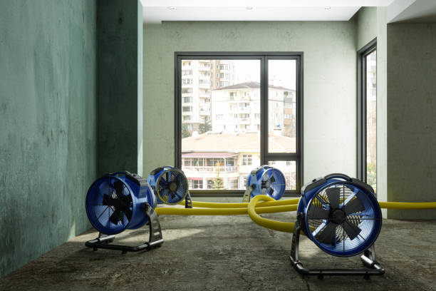 Best Ceiling water damage repair  in Zeigler, IL